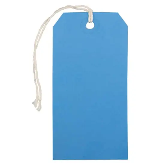 JAM Paper Medium Gift Tags with String Blue {1}