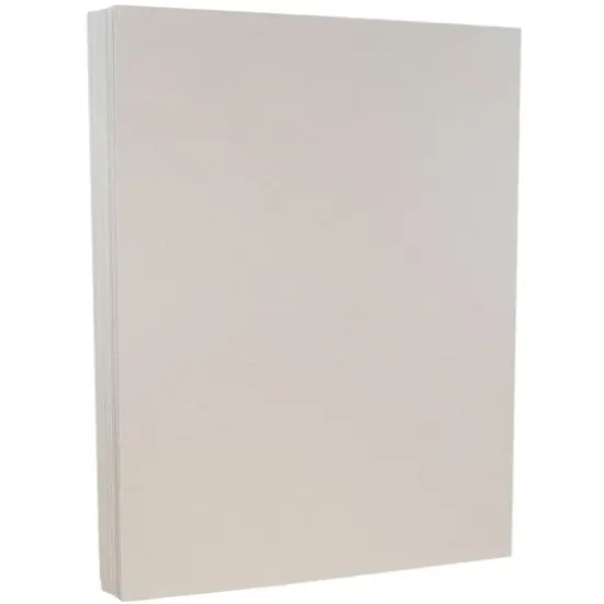 JAM Paper 8.5" x 11" Passport Granite Silver Cardstock, 50ct. {1}