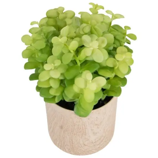 10" Green Privet Plant in Faux Wood Pot {6}