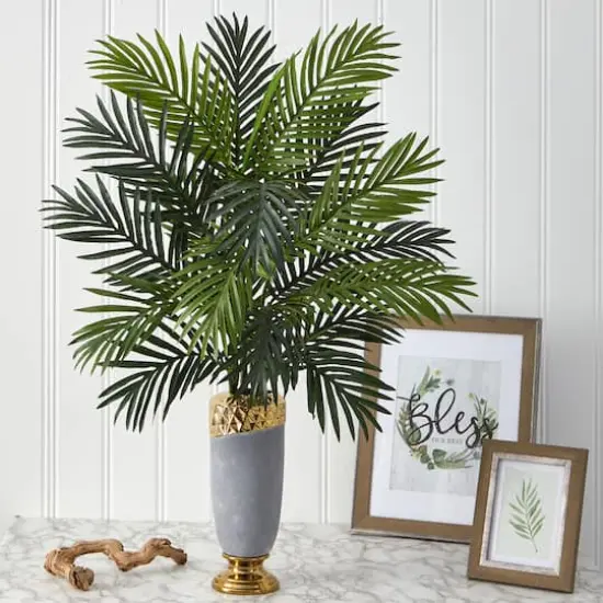 3ft. Areca Palm Plant in Designer Planter {4}