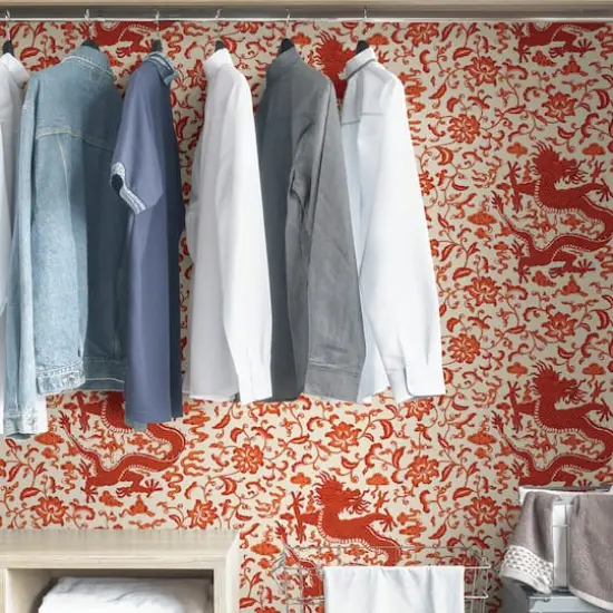 Scalamandre Persimmon Chien Dragon Peel & Stick Wallpaper {6}