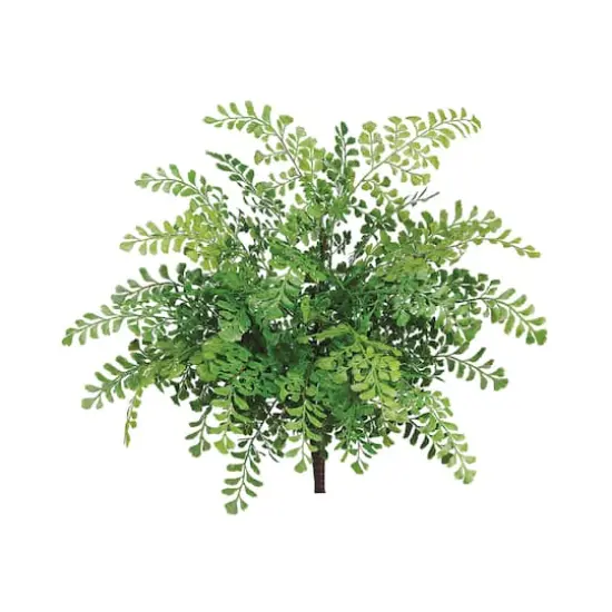 UV Protected Maidenhair Fern Bush  {1}