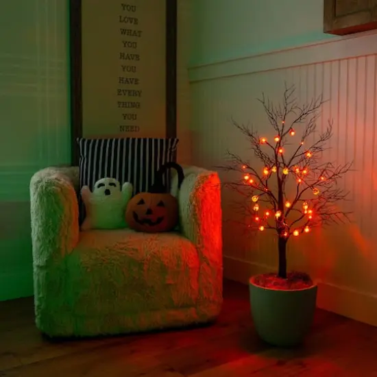 3ft. Pre-Lit Artificial Halloween Black Twig Tree with 18 Orange LED Pumpkin Shaped Lights {13}