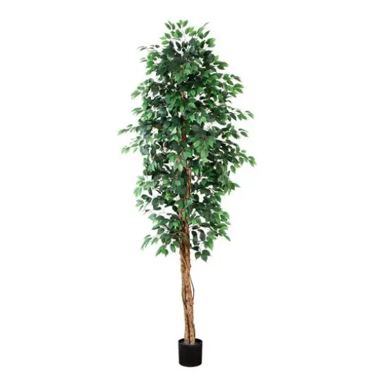 9ft. Potted Ficus Tree {1}