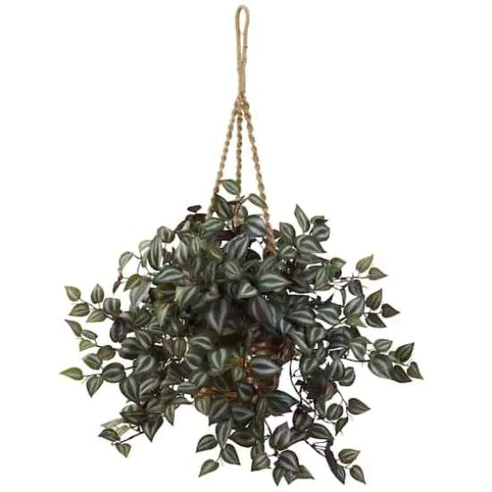 20" Inchplant Hanging Basket {1}