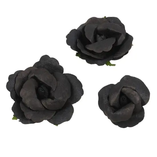 Black Paper Roses by Recollections&trade;, 12ct. {1}