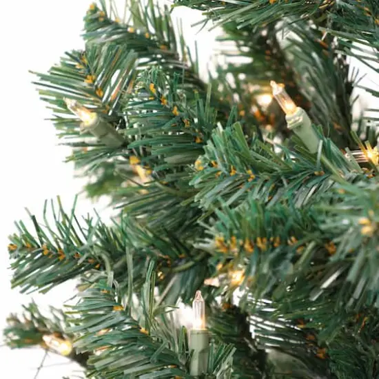 6ft. Pre-Lit Acacia Artificial Christmas Tree, Clear Lights {4}