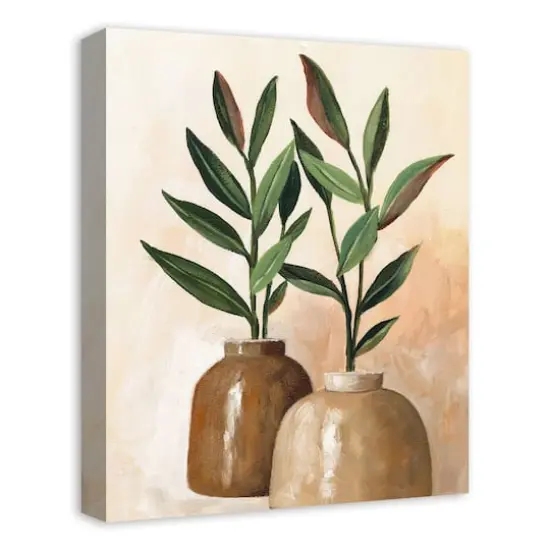Organic Jars 16" x 20" Canvas Wall Art {3}