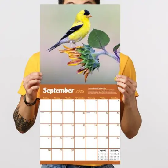 TF Publishing 2025 Backyard Birds Wall Calendar {5}