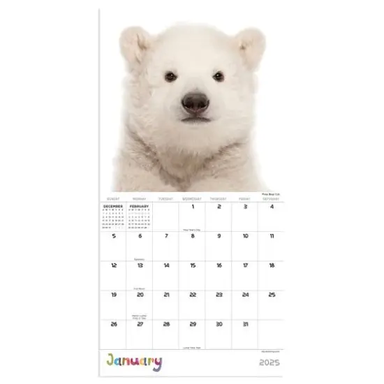 TF Publishing 2025 Baby Animals Mini Calendar {5}