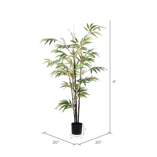 4ft. Potted Black Japanese Bamboo Tree {4}