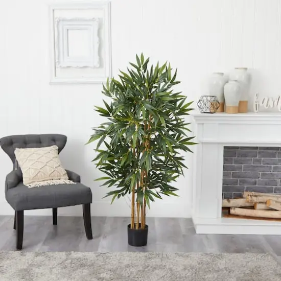 4ft. Potted Biggy Bamboo Tree {6}