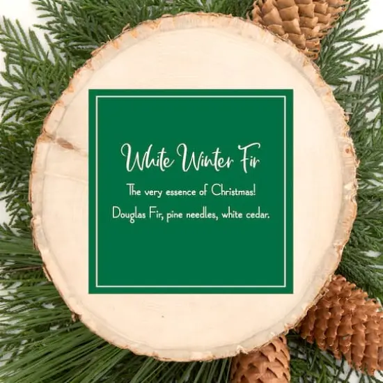 Scentsicles White Winter Fir Scented Paper Stick Ornaments, 12ct. {5}