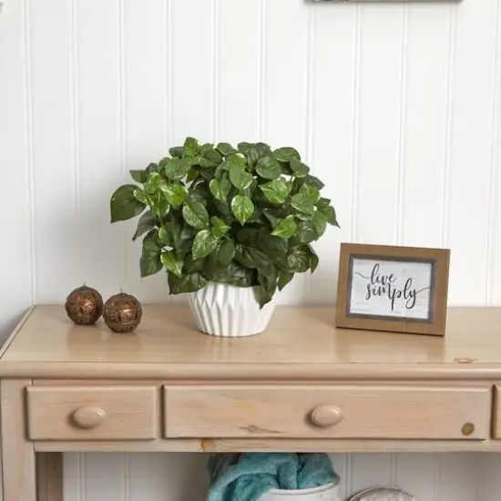 16in. Pothos Plant in White Ceramic Vase {4}