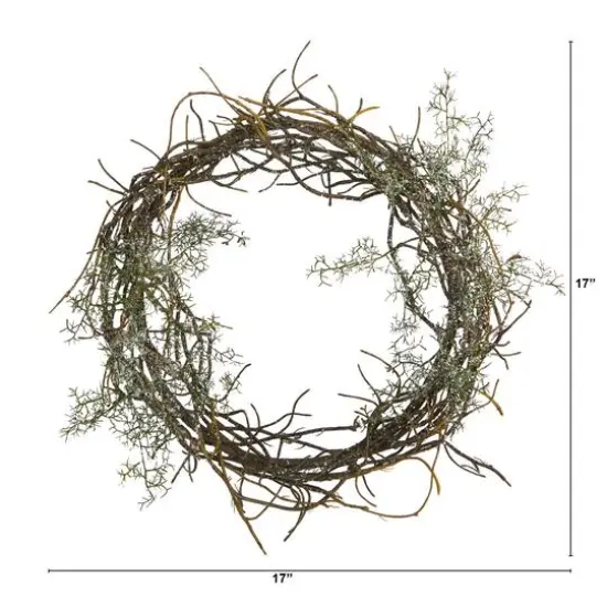 17" Frosted Twig Wreath {4}