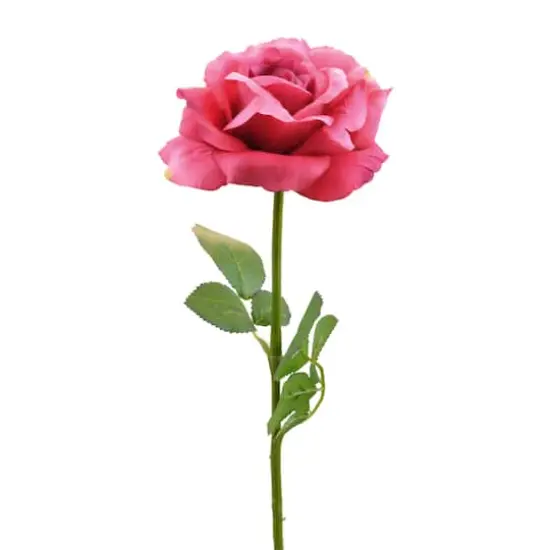 DII&reg; Pink Flower Open Rose Set, 6ct. {3}
