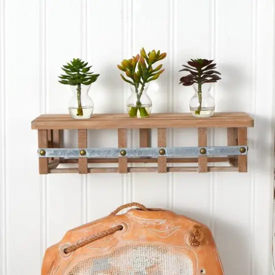 Succulent Arrangements in Vases 3ct. {11}