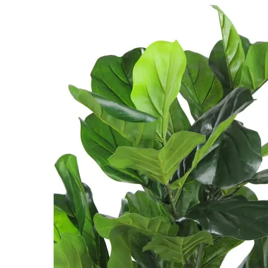 4 ft. Two-Tone Potted Wide Fiddle Leaf Floor Plant {3}