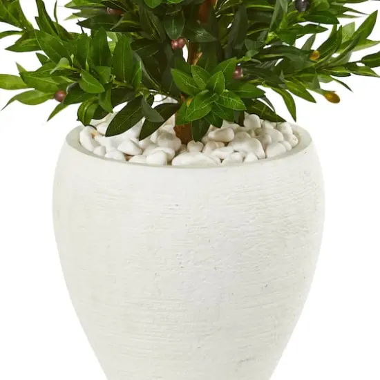 3.5ft. Olive Cone Topiary Tree in White Planter {4}