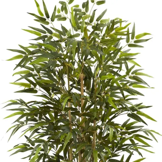 6ft. Bamboo Tree with Red Decorative Planter {3}