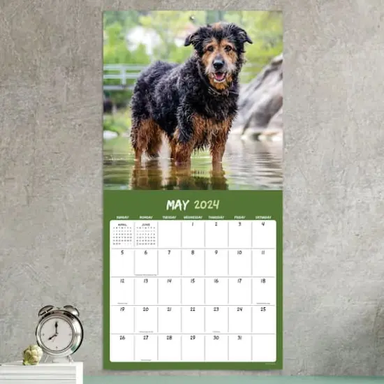 TF Publishing 2024 Mutts Wall Calendar {5}