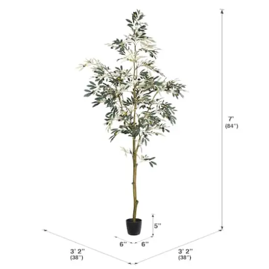 7ft. Potted Olive Tree {5}