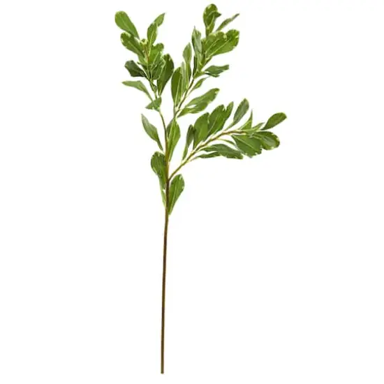 28" Variegated Salal Artificial Spray (Set of 4) {1}