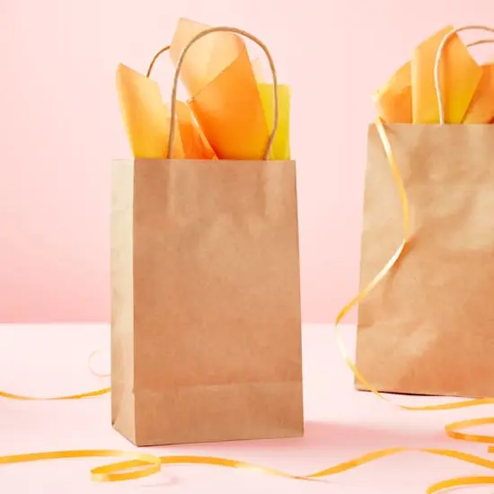 Kraft Small Gift Bags by Celebrate It&trade; {3}