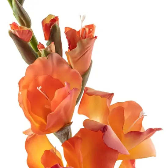 Gladiolus Stem by Ashland&reg; Salmon {4}