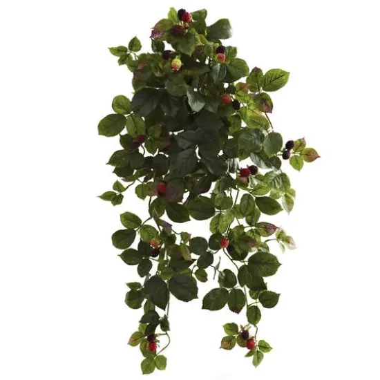 32" Raspberry Hanging Bush with Berries {1}