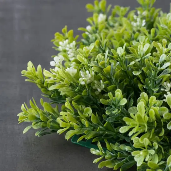 Green Boxwood Mat by Ashland&reg; {3}