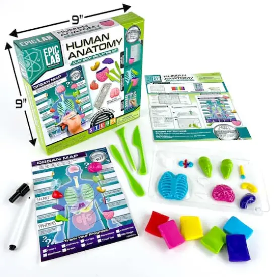 ArtSkills&reg; Epic Lab Human Anatomy STEM Kit {4}