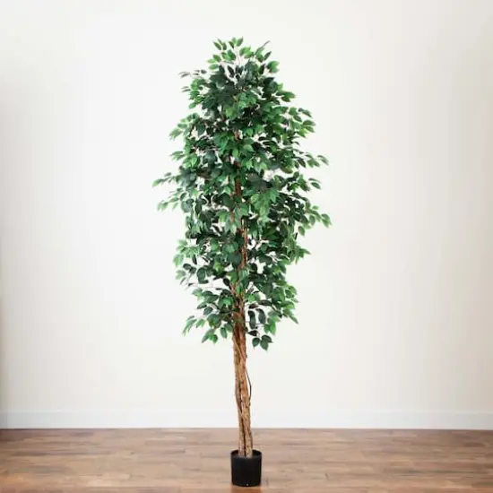 9ft. Potted Ficus Tree {4}