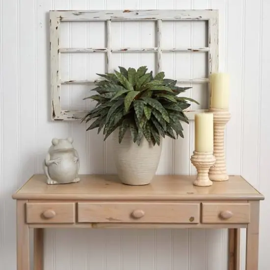 2.5ft. Peacock Plant in Sand Colored Oval Planter {4}