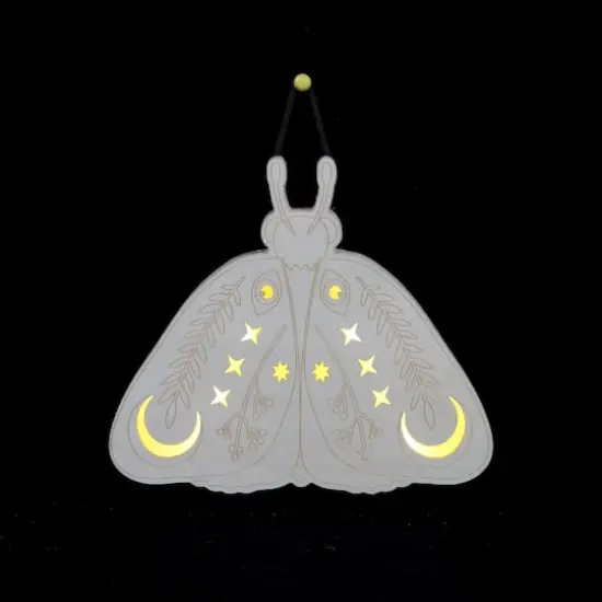 8" Moth DIY LED Plywood D&eacute;cor by Make Market&reg; {3}