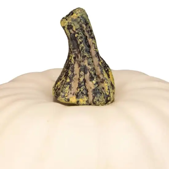 8.5" Cream Pumpkin Tabletop D&eacute;cor {3}