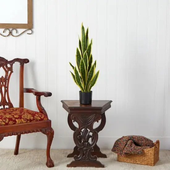 2.5ft. Potted Variegated Snake Plant {4}