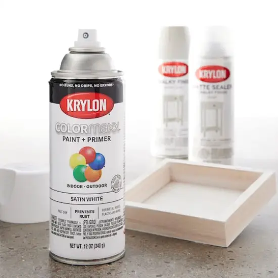 Krylon&reg; COLORmaxx&trade; Satin Paint + Primer White {3}
