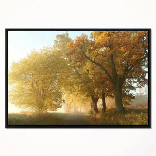 Designart - Rural Road Under Green Trees - Landscape Photography Canvas Print in Black Frame {3}
