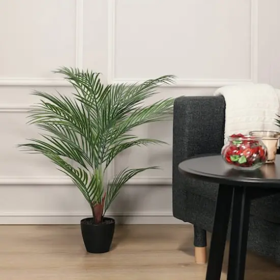 2.75ft. Potted Areca Palm Tree {4}