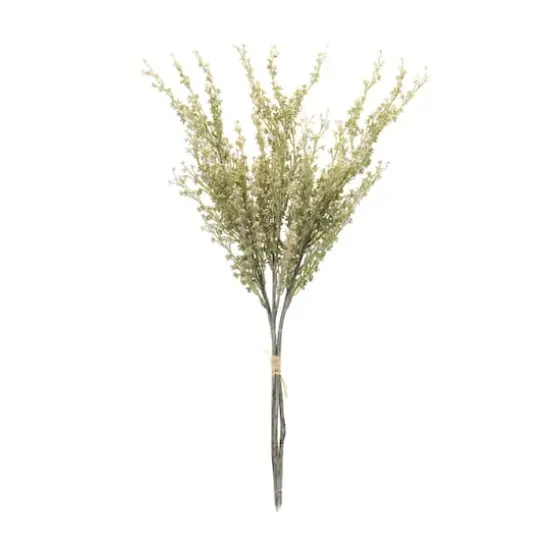 24.25" Mini Seed Pod Bundles, 2ct. {1}