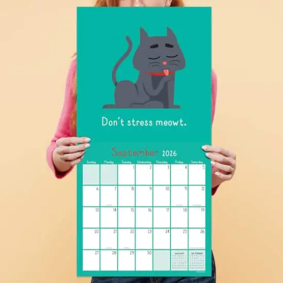 2026 Puns of Fun Wall Calendar {5}