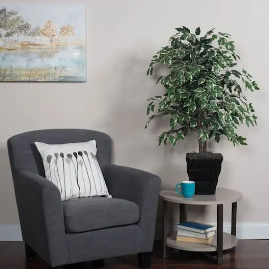 4ft. Artificial Variegated Ficus Bush with Square Willow Basket {3}