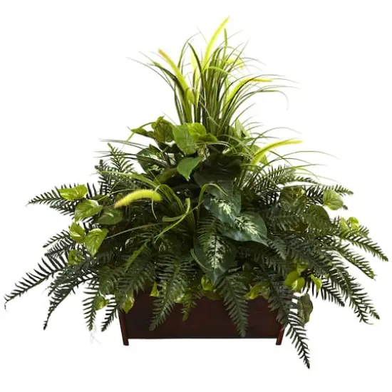 3ft. Mixed Grass & River Fern in Wood Planter {1}