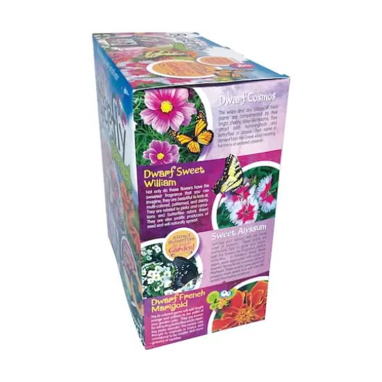 Biosphere Terrarium - Bountiful Butterfly Garden {5}