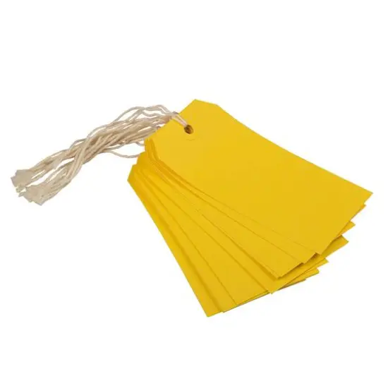 JAM Paper Medium Gift Tags with String Yellow {3}
