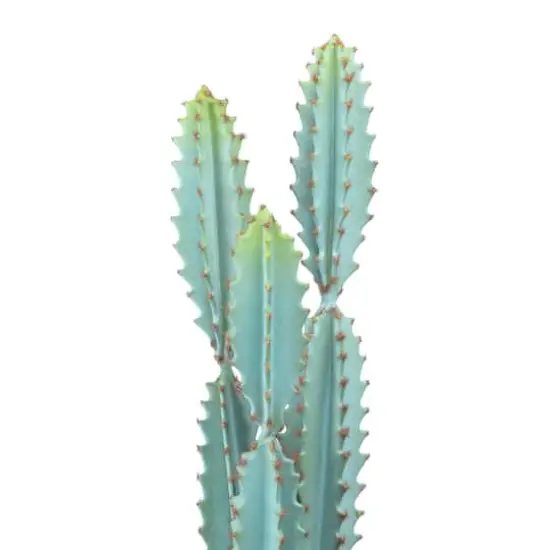 Hello Honey&reg; 20" Faux Cactus in Terra Cotta Colored Pot {7}