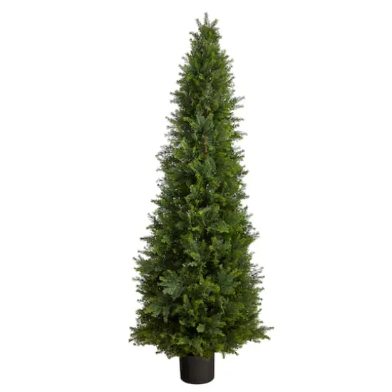5.5ft. Potted Cypress Cone Topiary Tree {1}