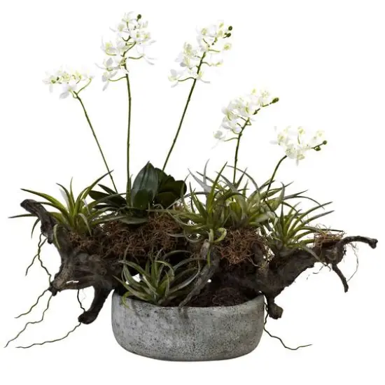 20" Orchid & Succulent Garden in Decorative Pot {1}