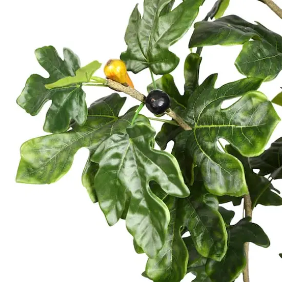 7ft. Potted Fig Tree {3}